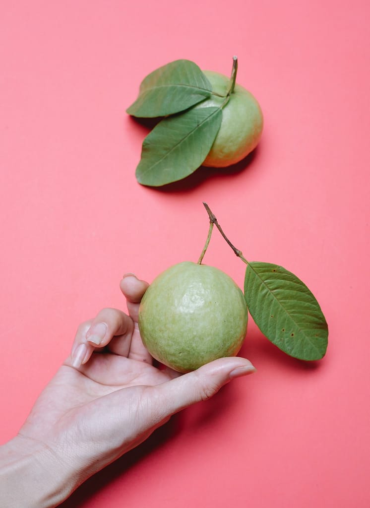 Is Guava Keto-Friendly? Find Out if this Fruit Can Fit- Keto Pitch